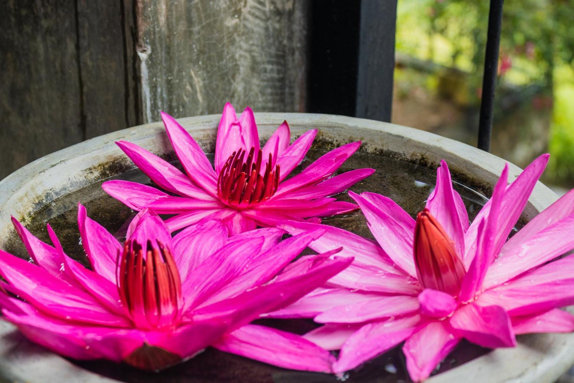 Kandy Victoria Eco Resort Luaran gambar